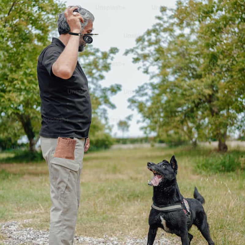 Dog Training Kit,Puppy Dog Treat Pouch Bag with Dog Clicker and Silent Whistle with Lanyard,Hands-Free Training Dog Treat Pouch,includes Carabiner,for Pet Puppy Travel or Outdoor Use(Grey) Grey-2 - BeesActive Australia