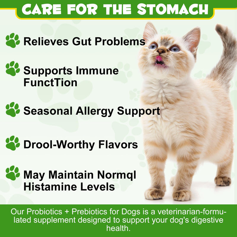 Probiotic Powder for Cats, Cat Pre and Probiotic Supplement for Gut Health, Digestive Support, All Ages and Breeds with Sensitive Digestion((1 Pot (120g))