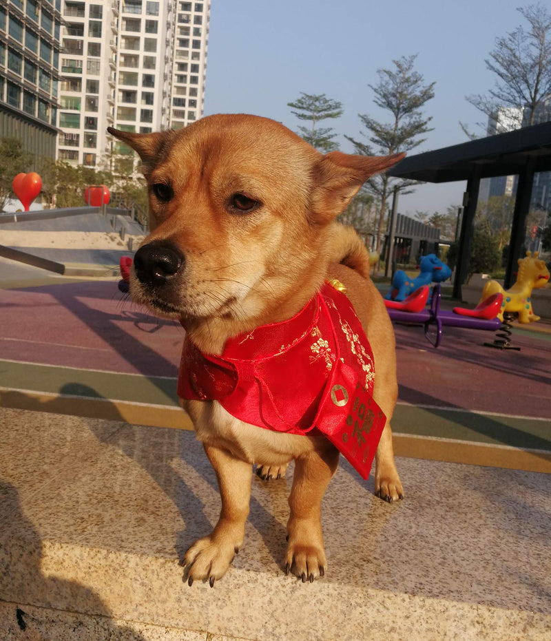Cat Clothes,New Year's Cloak Dog Clothes Red Pet Cheongsam Cloak Clothes for Cats Small Dogs Puppy(Red,L) L - BeesActive Australia