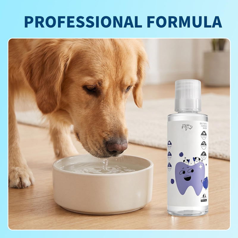 2 PCS PawBright Dental Plus,Natural, Odorless & Flavorless Teeth Cleaning Mouthwash to Fight Tartar,Promote Healthy Gums & Freshen Breath,Easy Daily Use for all Pet