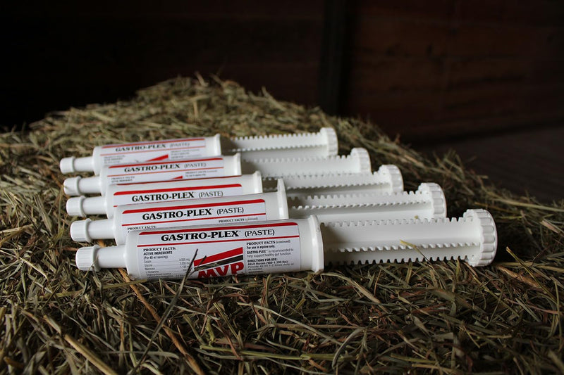 MVP Gastro-Plex Paste 5-Pack (10 doses) Gastric Stress Relief Paste for Horses - BeesActive Australia