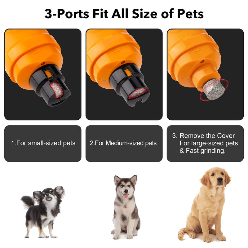 Casfuy Dog Nail Grinder with 2 LED Light - New Version 2-Speed Powerful Electric Pet Nail Trimmer Professional Quiet Painless Paws Grooming & Smoothing for Small Medium Large Dogs and Cats (Orange) A-Orange - BeesActive Australia