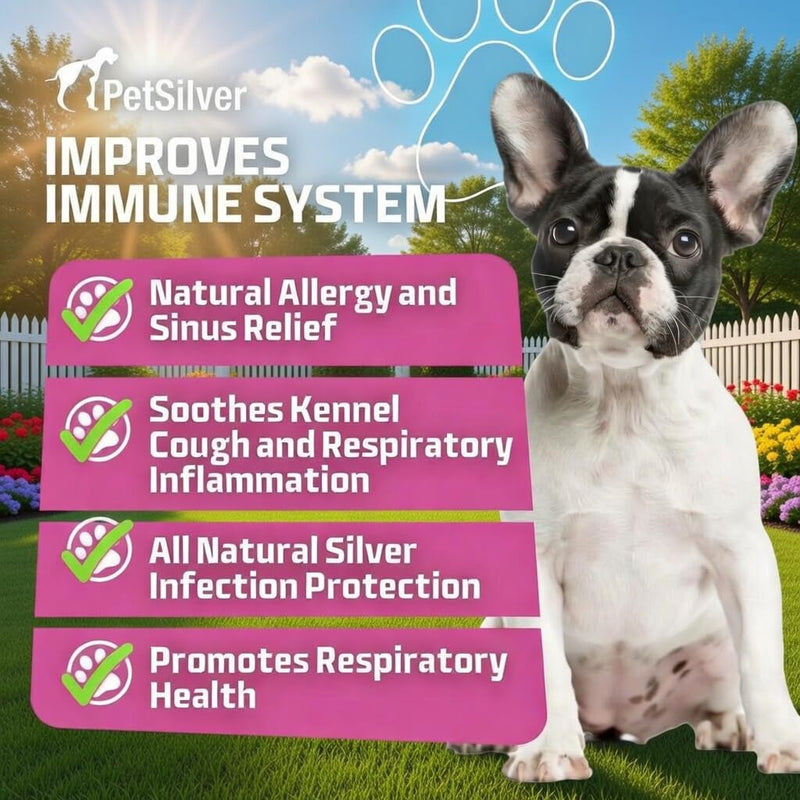 PetSilver Immune Support, Natural Nebulizer Solution, Promotes Respiratory Health in Cats & Dogs, Allergies, Sinus & Cough Treatment, Easy to Use, Patented Chelated Silver, Made in The USA, 16 fl oz - BeesActive Australia