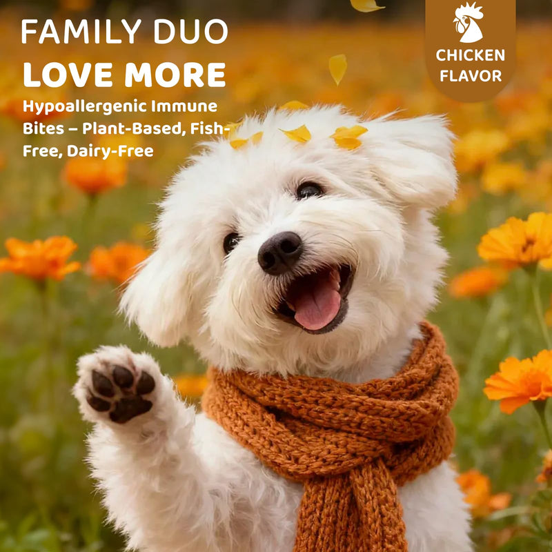 Dog Allergy Relief Chews: Anti-Itch Probiotics for Paw Licking, Seasonal Allergies & Skin Allergy - Dog Allergy Itching Skin Relief & Immune Support with MSM & Turmeric - Chicken Flavor