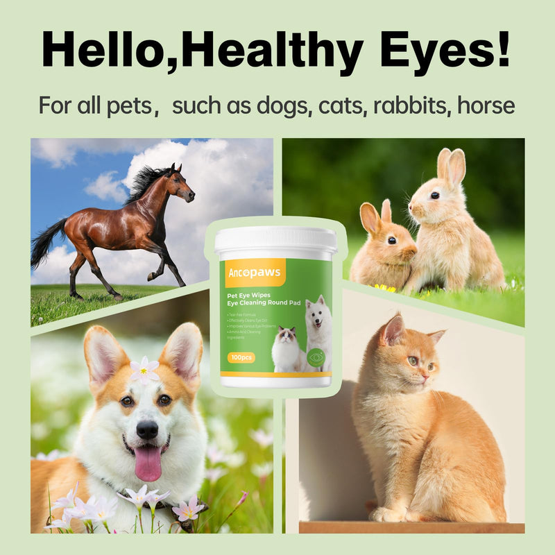 Eye Wipes for Dogs & Cats - Tear Stain Remover for Pets - Dog Eye Wipes for Discharge and Crust - Eye Care Cleaning Pads for Reducing Dirt and Mucus Secretions - 100pcs - BeesActive Australia