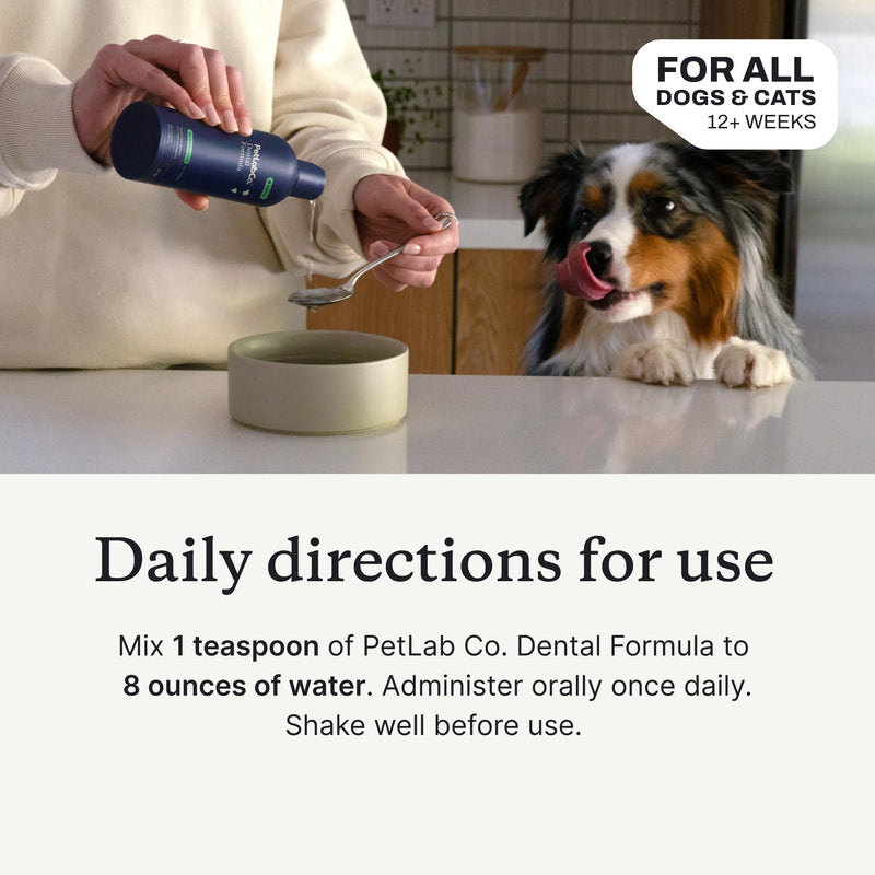 PetLab Co. Cat and Dog Dental Formula, Keep Dog Breath Fresh and Teeth Clean, Supports Gum Health - Water Additive Dental Care Targets Tartar, Pack of 2 - Packaging May Vary 16 Fl Oz (Pack of 1)