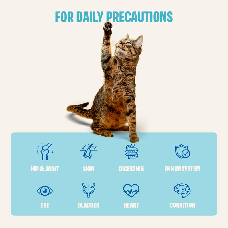 ivvi Multivitamin for Cats - Creamy Lickable Cat Supplement with Tuna, Vitamins, L-Lysine, Taurine & Salmon Oil - Daily Cat Wellness Support - 30 Pouches x 15 g