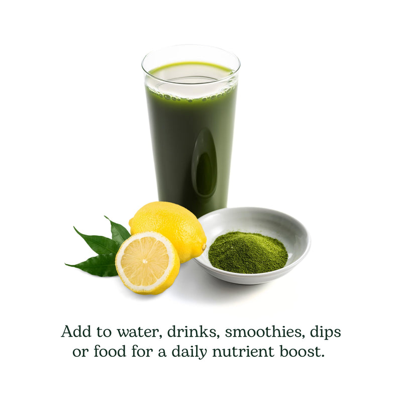 Eclectic Herb - Lemon Greens Powder Supplement | Immune + Detox Support | Nutritional Support, Vitamins + Minerals | Superfood Powder + Daily Greens Drink Mix | Non-GMO, Vegan (3.2 oz | 90 g)