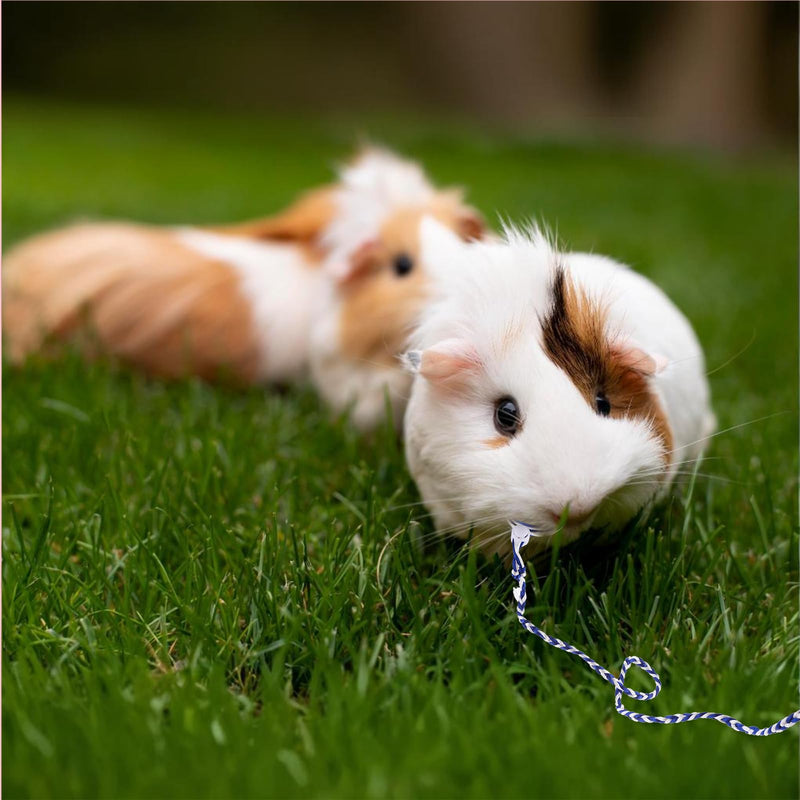 4 Pack Hamster Leash Harness Adjustable Rat Leash Harness Pet Collars for Pig Ferret Mouse Chinchilla Rabbit Guinea Squirrel Small Animal - BeesActive Australia