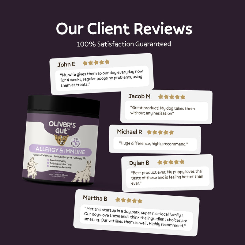 Oliver’s Gut™ Allergy & Immune Chews. Immune Support · Dog Supplement for Itchy Skin and Allergy Aid. Quercetin, Wild Alaskan Salmon Oil, Colostrum, Turmeric. Beef - 120 Count.