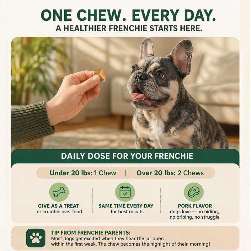 PawGuard French Bulldog Longevity Chews, Breed-Specific Formula for Gut Health, Skin & Coat, Immune System, Joint Mobility Pork Flavor, 60 Count Probiotics Chews (1 PC) 1 PC
