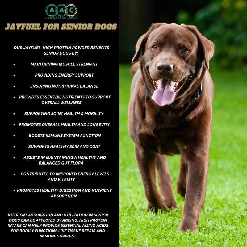 High Protein 70% & Nutritional Supplement For Dogs Muscle, Speed, Stamina, Focus, Energy, Rehab, Recovery, Repair, Probiotic Hench Range Jayfuel All Breeds