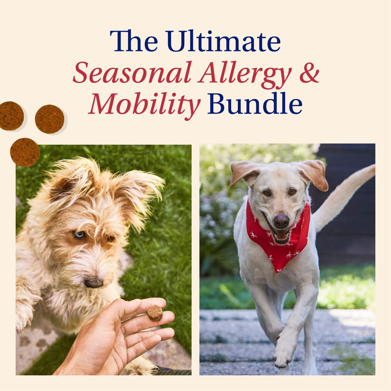 PetLab Co. – Mobility & Gut Health Bundle: Dog Probiotic for Gut Health, Healthy Yeast Production, & Seasonal Allergies 30 Count & Joint Supplement for Dogs Supporting Mobility & Occasional Stiffness - PawsPlanet Australia
