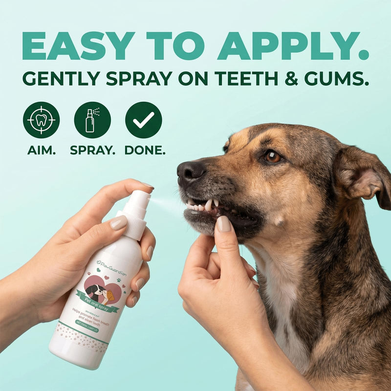 Dental Spray,Paw Guardian Dental Clean Spray,Dental Spray with Probiotics, Calendula Extract, Rosemary and Green Tea Extract,Eliminate Bad Breath, Fresher Breath - 3.38 Oz (1pcs) 1pcs