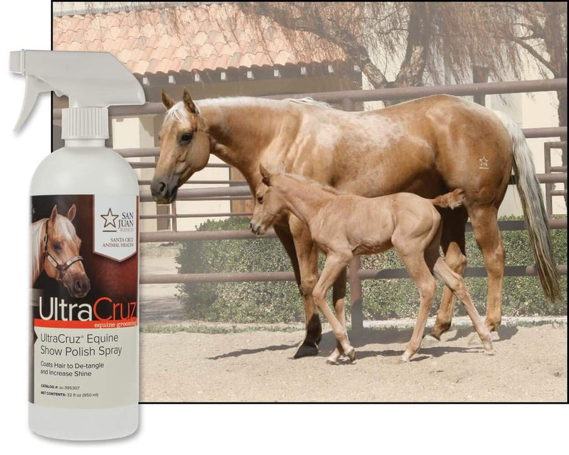 UltraCruz - sc-395307 Equine Show Polish Spray for Horses, 32 oz - BeesActive Australia