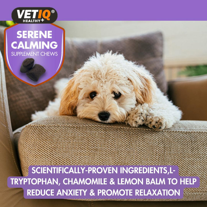 VETIQ Dog & Puppy Wellness Pack – Calming & Nutrition Support, Serene Calming Chews & Nutri-Vit Plus Paste High-Calorie Vitamin Supplement – Stress Relief & Vitality Support – From 12 wks Dog Gift Set