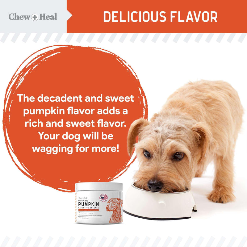 Organic Pumpkin Powder for Dogs - 4 oz of Pumpkin for Dog Digestion with 5cc Scoop - Made with Pumpkin, Apple, and Carrots - Made in The USA - BeesActive Australia