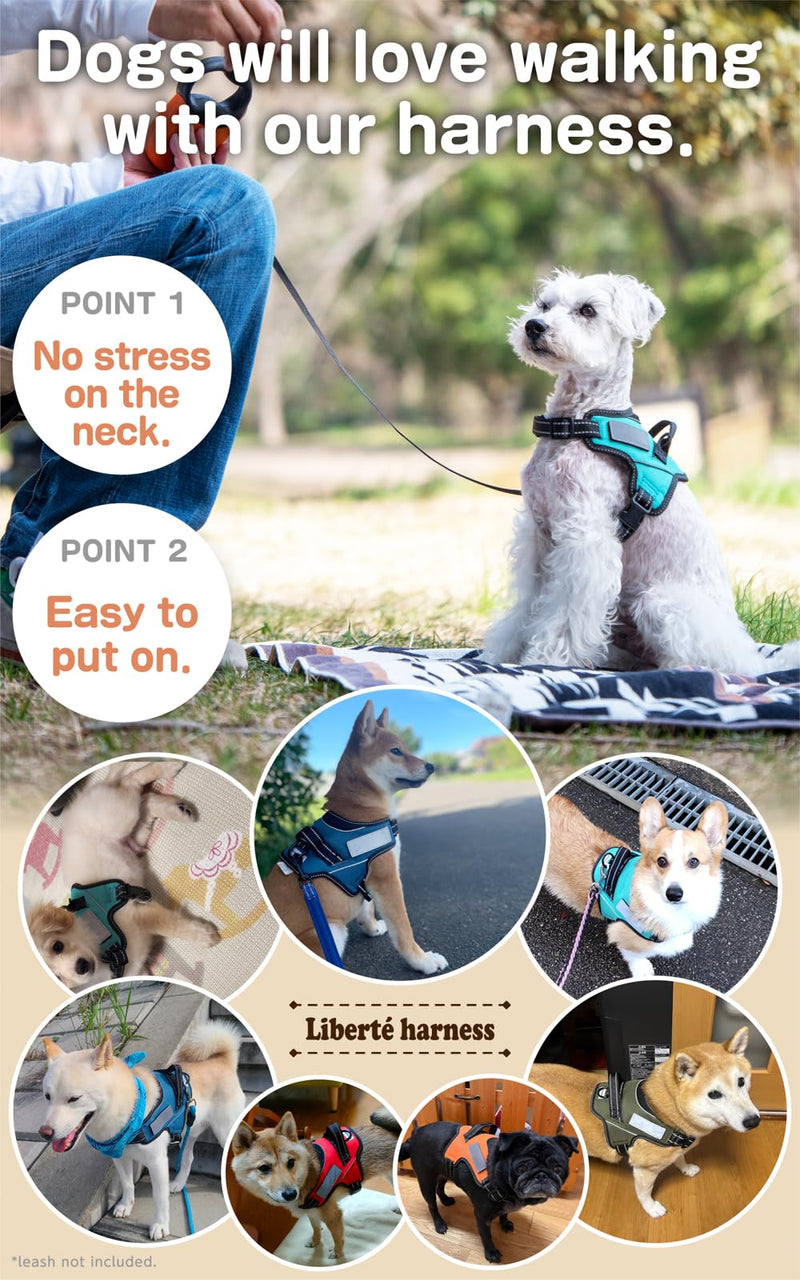 Dog Harness No Pull Name Plate Attachable (Cerulean Blue, Medium, 11-22lb) Cerulean Blue - BeesActive Australia