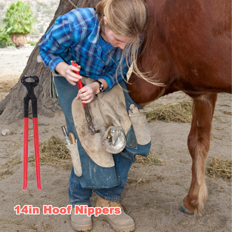 Farrier Tools Professional Farrier Tool Kits Hoof Rasp Hoof Nippers Hoof Knife Horses Hoof Trimmers Tools Suitable for Hoof Trimming for Horses/Donkeys Rasp Hoof Cutter Set - BeesActive Australia
