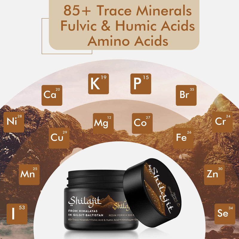 Shilajit Purest Himalayan Shilajit Resin - Gold Grade 100% Pure Shilajit with Fulvic Acid & 85+ Trace Minerals Complex for Energy & Immune Support, 30 Grams (2 Months Supply) 1 Fl Oz (Pack of 1) - BeesActive Australia