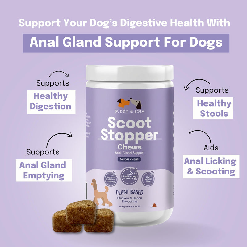 Buddy & Lola Scoot Stopper Anal Gland Chews For Dogs - High Fibre Chews To Stop Scooting and Licking Under Tail with Natural Fibre Ingredients For Dogs Dandelion Root, Pumpkin Powder and Beet Pulp 5060928060024