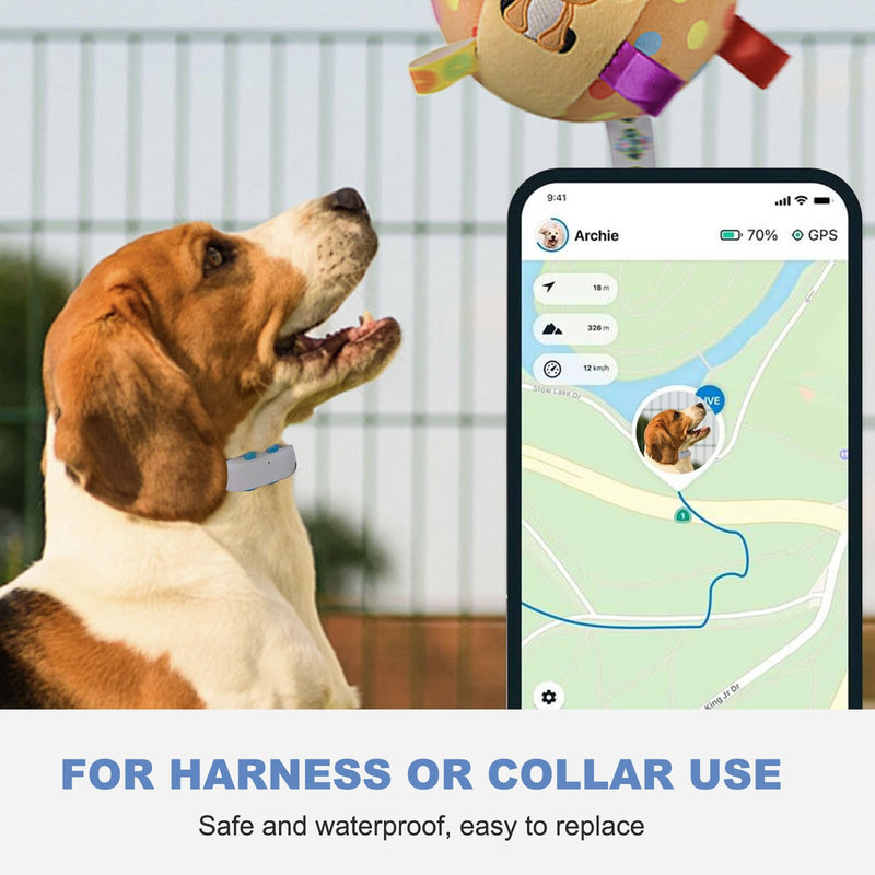 GPS Tracker for Dogs Rubber Clip Compatible with Tractive GPS Pet Location Tracker Replacement Attachment Rubber Clips - Pack of 6 - BeesActive Australia