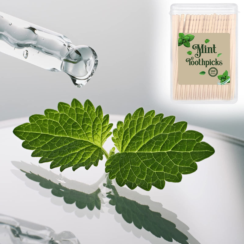 600 Pcs Bulk Mint Toothpicks Wood Toothpicks Mint Flavored Toothpicks with 6 Clear Plastic Boxes for Kitchen Appetizers Fruit Tray Essential Teeth Dental Care - BeesActive Australia