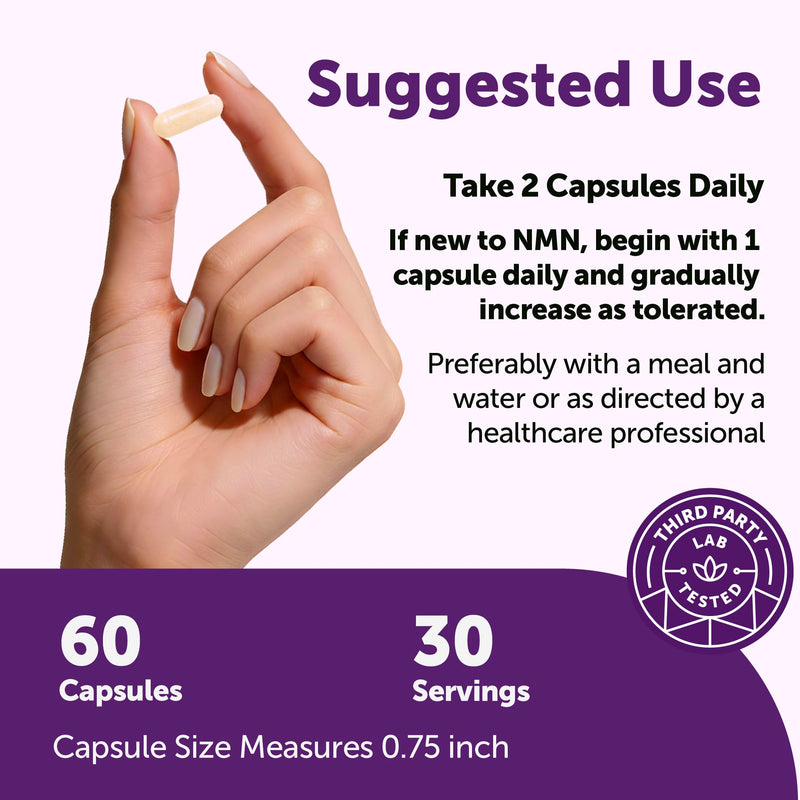 Micro Ingredients NMN Complex 1,000 mg Per Serving, 60 Veggie Capsules | 10-in-1 with Nicotinamide Mononucleotide, Resveratrol, Astaxanthin, TMG & CoQ10. NAD+ Supplement Precursor. Filler Free. 60 Count (Pack of 1)