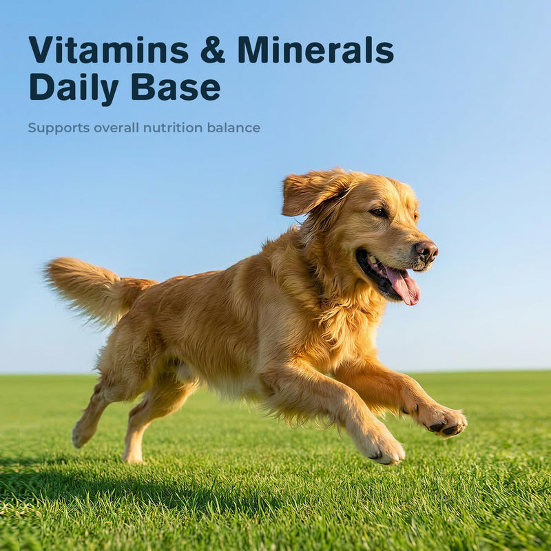 Lactoferrin Supplements for Dogs Powder, Daily Immune Nutrition with CoQ10 & Beta-Glucan, Essential Vitamins & Minerals for Whole-Body Wellness, Chicken Flavor, Easy-Mix Supplement, 2.12 oz