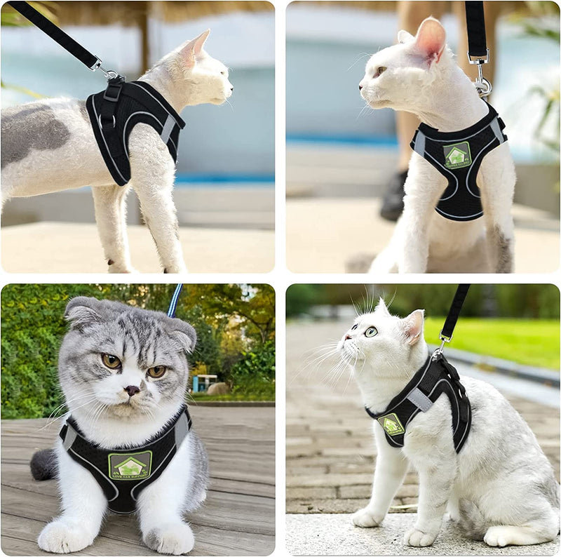 Adjustable Cat Harness Escape-Proof, Adjustable Cat Harness with Leash, Soft Lining and Breathable Mesh, Reflective Harness Set for Outdoor Training Walking, M (Black) - BeesActive Australia