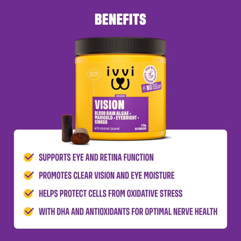 ivvi Vision – Eye Care Snacks for Dogs | With DHA, Astaxanthin, Blueberry & Eyebright | Supports Eye Comfort & Retina Function | 60 Soft Treats (270 g)