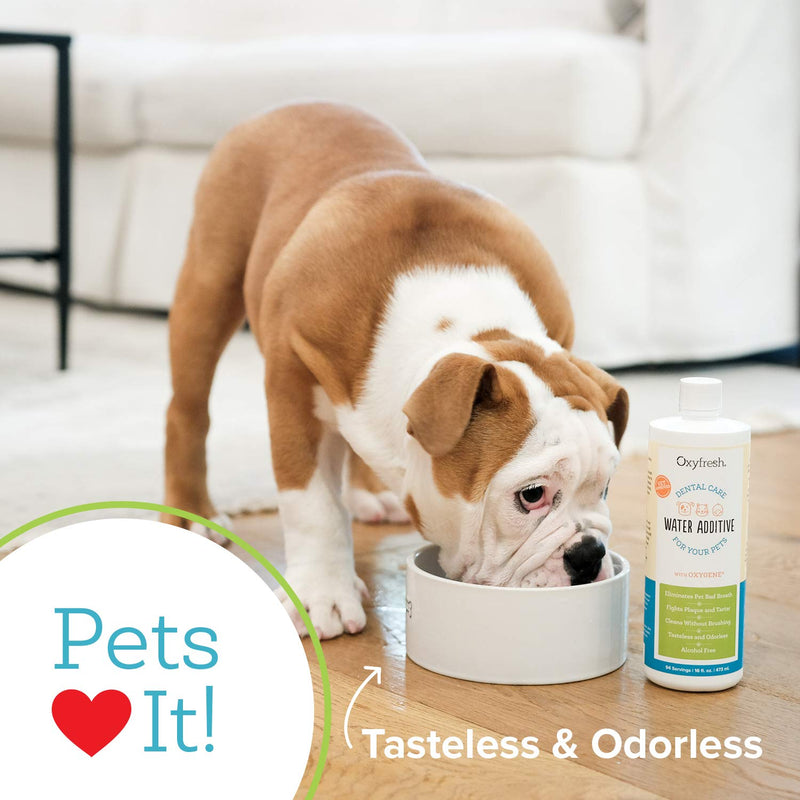Oxyfresh Premium Pet Dental Care Solution Pet Water Additive: Best Way to Eliminate Bad Dog Breath and Cat Breath - Fights...