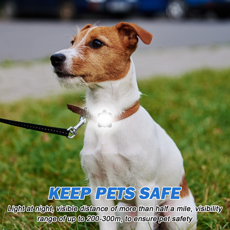 Sporgo Pack of 4 safety pet lights, LED flashing light for dogs, cats, USB rechargeable safety light, LED light pendant dog, waterproof pet lights with 4 flashing modes 2 - BeesActive Australia