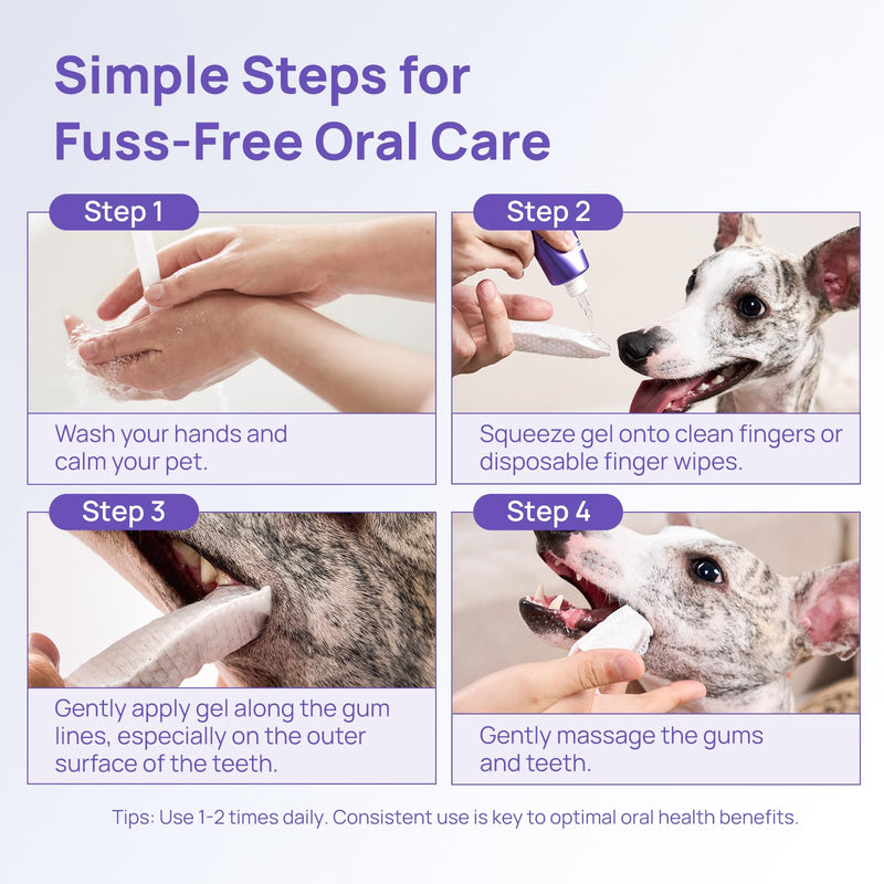 HICC PET Dog Dental Gel, Gentle Teeth Cleaning Gel for Dogs & Cats, Pet Breath Freshener, Maintains Gum Health, Natural Enzymatic Oral Gel Kit, No Brushing Required, Non-Toxic. 60ml