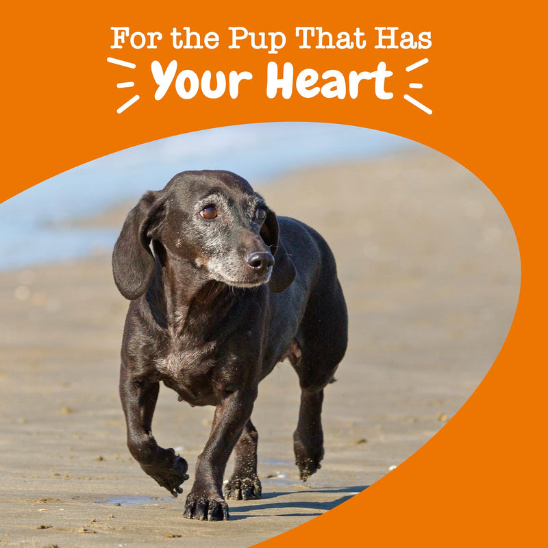 Zesty Paws Cardiovascular Support for Senior Dogs - Taurine for Dogs - with CoQ10, L Carnitine & Sea Buckthorn - Heart Health - AlaskOmega Fish Oil Omega 3 - Salmon - 90 Count Advanced - Salmon