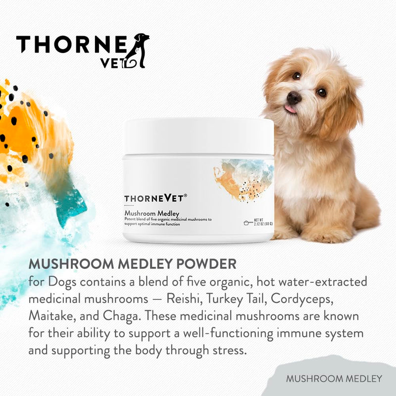 ThorneVet Mushroom Medley for Dogs - Immune System Support Plus Antioxidants - with Reishi, Turkey Tail, Cordyceps, Maitake, and Chaga Mushrooms - Support for Dogs Having Cancer Treatment - 120 Scoops - PawsPlanet Australia