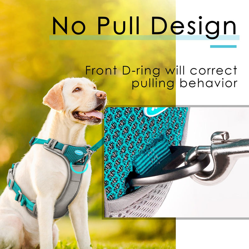 ThinkPet Anti-Pull Dog Harness, Dog Harness with Handle, Easy to Control Dog Harness, Adjustable without Choking, Dog Harness, Reflective, Breathable, Padded (XL, Bright Teal) XL (Pack of 1) - BeesActive Australia
