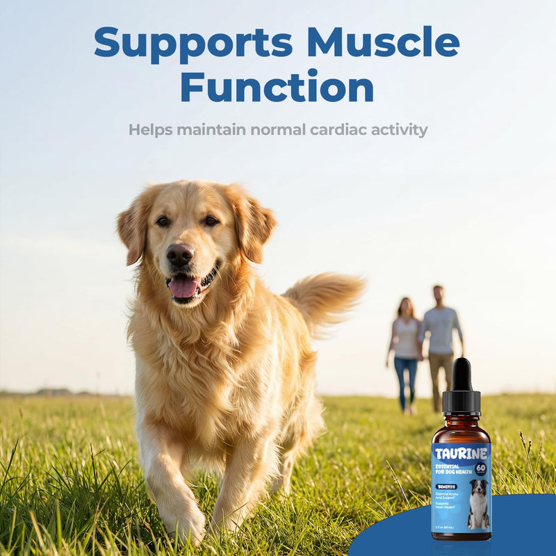 Taurine Supplement for Dogs Drops, Daily Amino Acid Liquid Drops for Heart Function, Muscle Support, Energy Balance & Physical Stability, 60 ml 60 ml (Pack of 1)