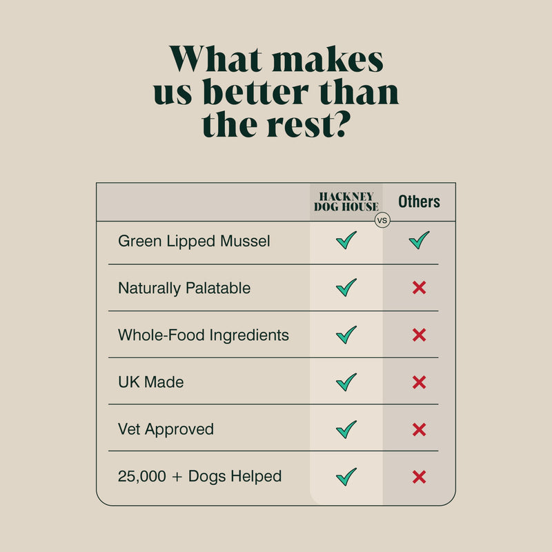 Green Lipped Mussel Powder For Dogs (100 g) | Hip & Joint Care Supplement | 80 Daily Servings | Hackney Dog House