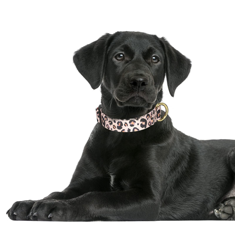 Rnivvi Dog Collar, Personalized Adjustable Dog Collar for Large Dogs, Cute Leopard Puppy Collar for Boy and Girl Dogs, Soft Heavy Duty Pet Collars with Quick Release Buckle for Walking Running, Pink Pink Leopard L (Neck 16-24", Width 1") - BeesActive Australia