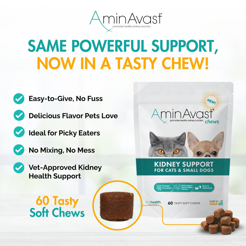 AminAvast Small Dogs & Cat Kidney Support - Promotes Healthy Kidney Support in Cats & Small Dogs - 300mg (60 Chews) 300mg (60 Chews)