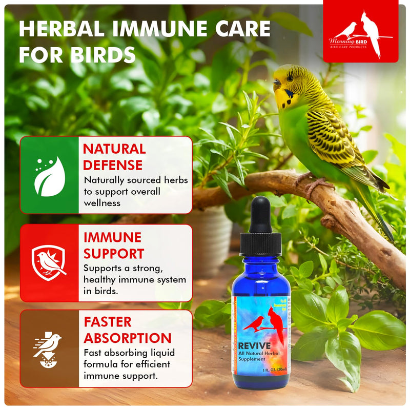 Morning Bird Revive 1 Fl oz – Herbal Extract Blend for Immune Support for Birds - Improved Liquid Formula for Optimum Immune Defense & Faster Absorption - Enhanced Digestive Health, Energy & Wellness