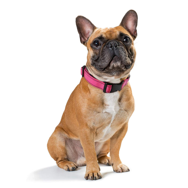HEELE Dog Collar, Soft Padded Neoprene Nylon Dog Collar for Small Medium Large Dogs and Puppies, Adjustable and Reflective Collar Dog for Training, Pink, S: Length 26-38cm (Pack of 1) - BeesActive Australia