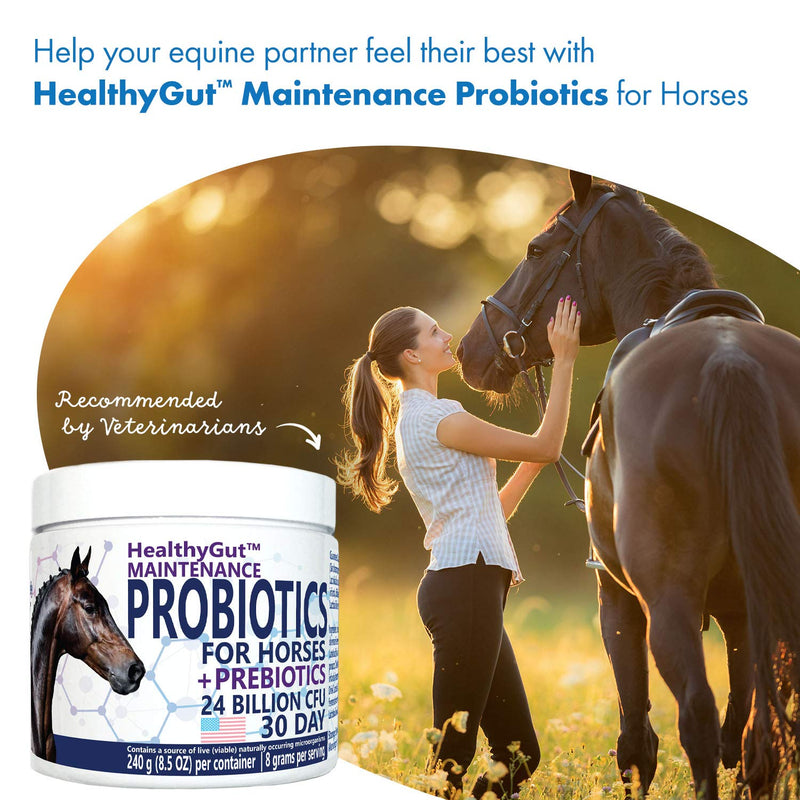 HealthyGut™ Probiotics for Horses Dietary Supplement, All-Natural Digestive System Maintenance Formula (30 Days) 30 Servings (Pack of 1) - BeesActive Australia