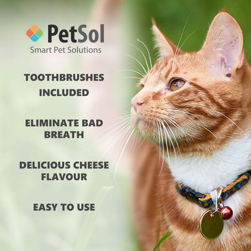 Dental Care Kit Cat Toothpaste (50g) with 2 x Pet Toothbrushes to Clean Cat's Teeth, Remove Plaque and Tartar, Improve Gum, Tooth Health & Pet Oral Hygiene Cat Toothpaste Kit