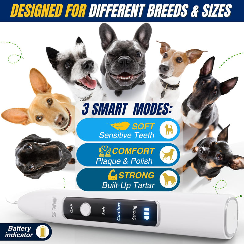 SIRGAWAIN Pet Ultrasonic Dental Cleaner — Plaque, Tartar & Stains Remover, 4 Tips, 3 Modes, LED, Contact-Activated & Smart Touch Protection, Complete Cleaning Kit for Dogs & Cats (White) - BeesActive Australia