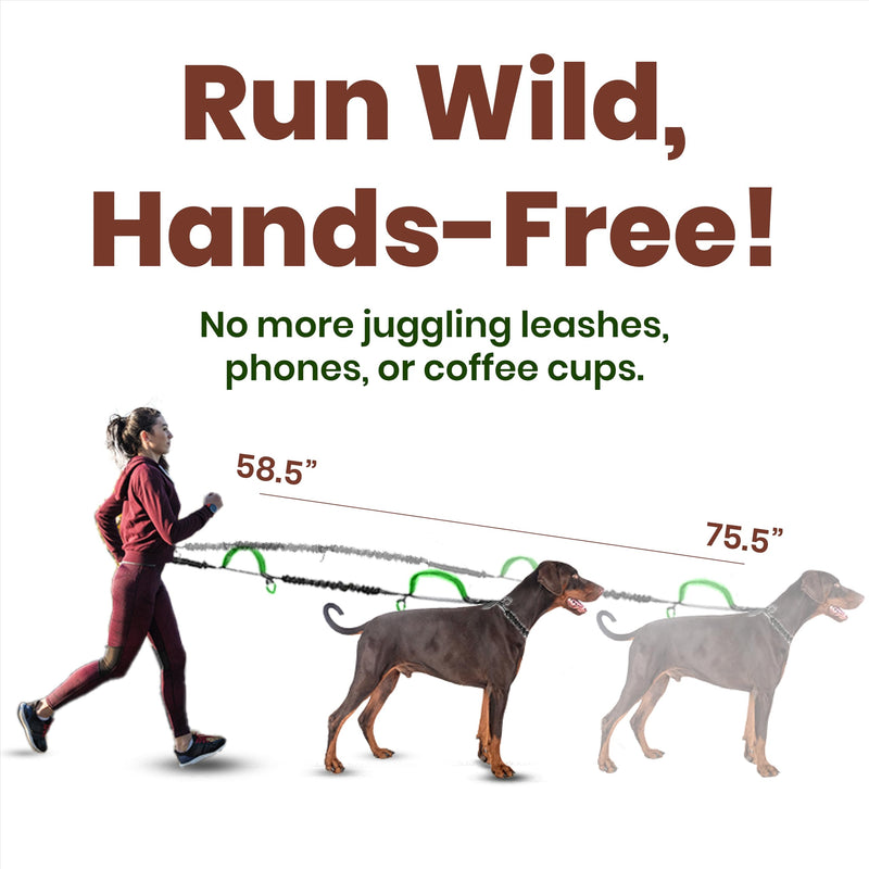 𝐇𝐞𝐚𝐯𝐲 𝐃𝐮𝐭𝐲 Hands Free Dog Leash for 2 Dogs – Dual Bungee Running Leash with Adjustable Waist Belt, Tangle-Free 360° Swivel, Shock Absorbing, Padded Handles & Zipper Pouch - BeesActive Australia