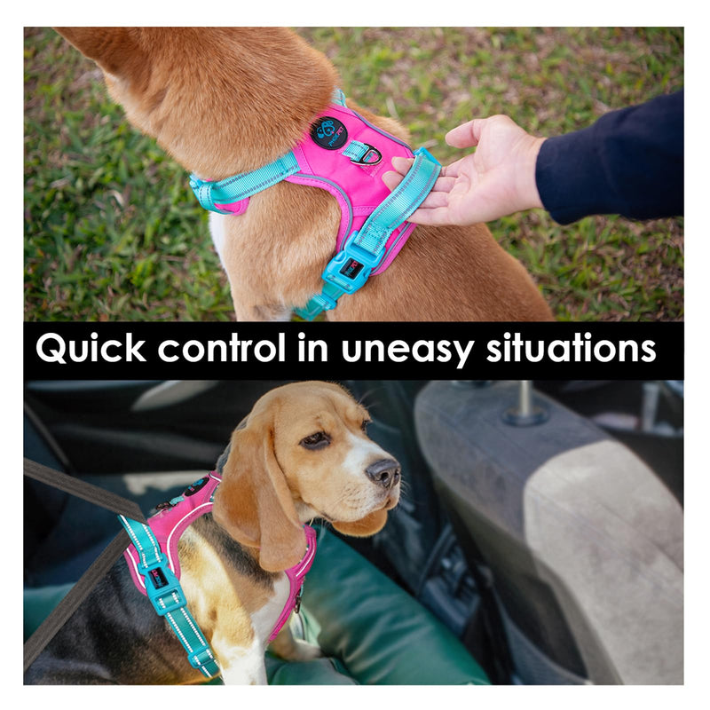 PHOEPET No Pull Dog Harness, Reflective Dog Vest with Soft Training Handle for Small, Medium and Large Dogs (Pink Base and Green Straps, S) Pink Base and Green Straps - BeesActive Australia