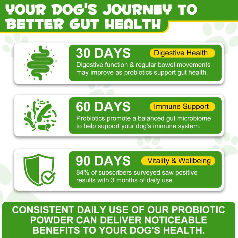 Probiotics for Dogs - Probiotic Powder with 5 Billion CFU & Prebiotics, 12-Strain Formula for Digestive Health & Diarrhea Relief, Vet-Recommended for Sensitive Stomach 4.23oz 1 for dog