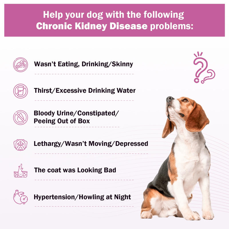 Kidney Support Supplement for Dogs - Supports Kidney Function Health in Dog - Natural Herbal Drops 2 oz - Improve Blood in Urine, Lack of Appetite, Weight Loss, Excessive Drinking, Lethargy, Dull Coat - PawsPlanet Australia